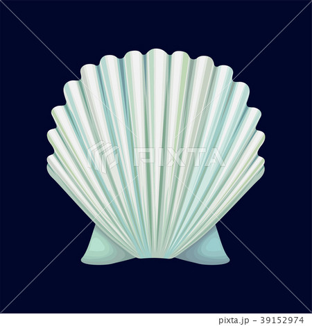Scallop Seashell An Empty Shell Of A Sea Molluskのイラスト素材