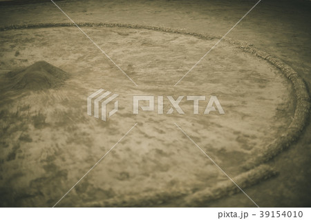 Sumo wrestling 39154010