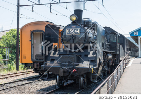 大井川鐵道C56 大井川鐵道C56 39155031