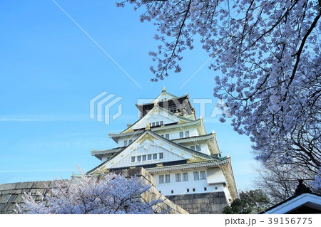 大阪城と桜 39156775