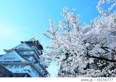 大阪城と桜 39156777