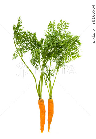 carrots with leaves isolated 39160504