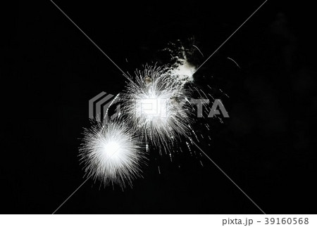 天然デザイン花火の背景素材・二つの小さい銀冠菊の涼しげな打上げ花火・横位置 39160568
