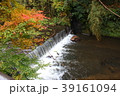 黒川温泉と秋の紅葉 39161094