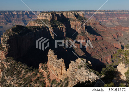North Rim Grand Canyon Landscape 39161272