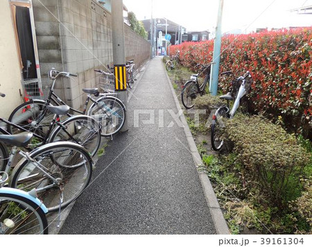 歩道の生け垣に乗り入れ駐輪する自転車 歩道の生け垣に乗り入れ駐輪する自転車 39161304