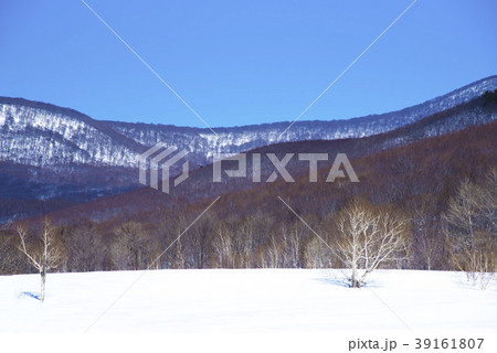 八甲田の雪景色 八甲田の雪景色 39161807