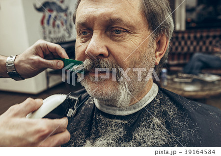 Close-up side view portrait of handsome senior 39164584