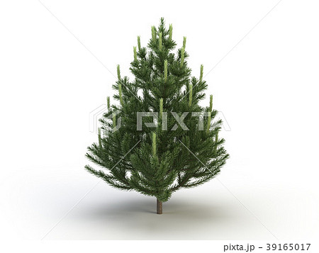 fir fir 39165017