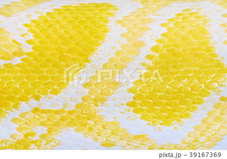 Python Skin 39167369