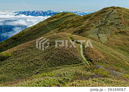 上越国境・仙ノ倉山の稜線と残雪の山並み 上越国境・仙ノ倉山の稜線と残雪の山並み 39169067
