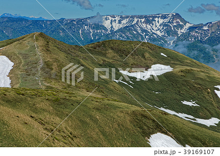 仙ノ倉山の稜線から見る残雪の平標山と苗場山 39169107