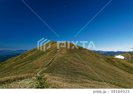 上越国境・仙ノ倉山から平標山の稜線 上越国境・仙ノ倉山から平標山の稜線 39169325