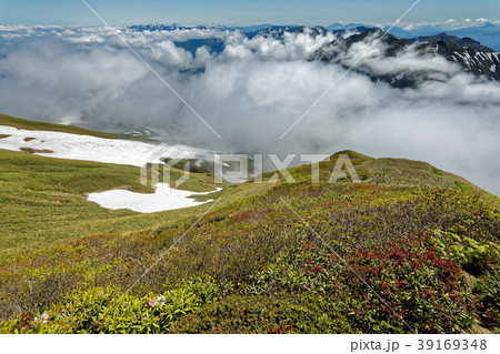 谷川連峰・仙ノ倉山から見る雲湧く国境稜線 39169348