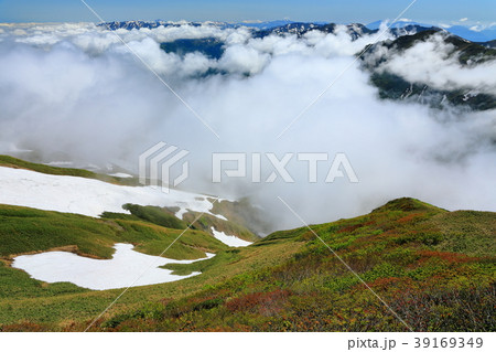 谷川連峰・仙ノ倉山から見る雲湧く国境稜線 39169349