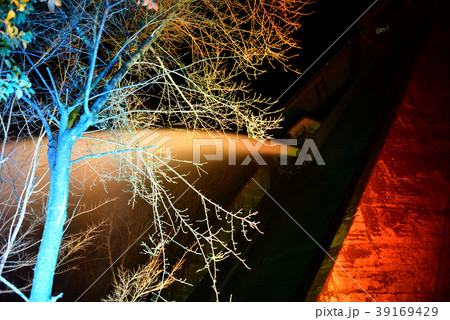 引原ダム放水ライトアップ 39169429