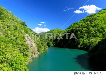 長野_新緑の奈川渡ダム湖 39169642