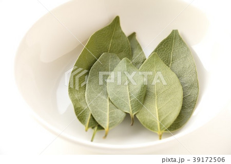 ローリエ ローリエ 39172506