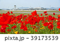 初夏の高松空港とチューリップ畑（香川県高松市） 39173539