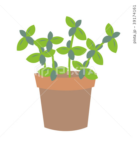 植物 鉢植えのイラスト素材