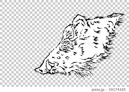年賀状 猪-横顔文字なし 年賀状 猪-横顔文字なし 39174385