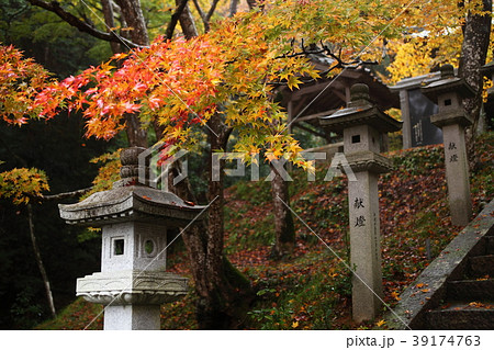 西光寺の紅葉 39174763