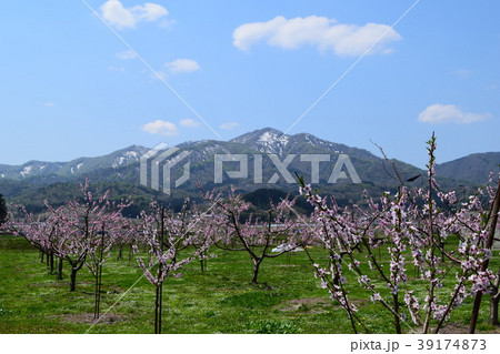金峯山（きんぼうざん）山形県の百名山 39174873