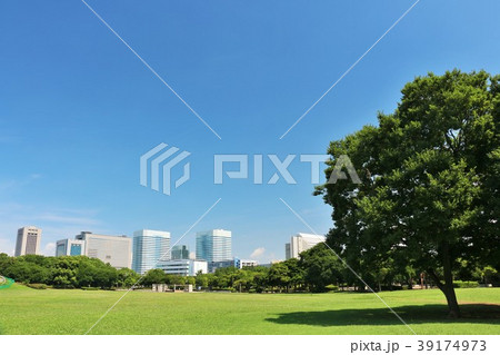 夏の青空と公園の木 39174973