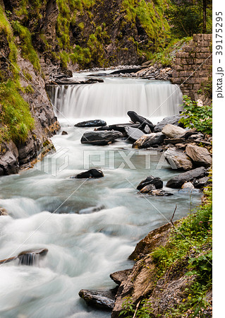 Vertical view of lake Plansee with dandelions Vertical view of lake Plansee with dandelions 39175295