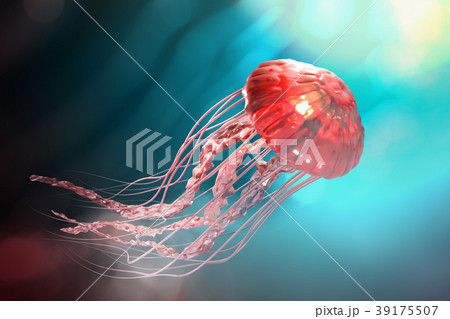 Pink Jellyfish Floating In The Dark Blue Oceanのイラスト素材