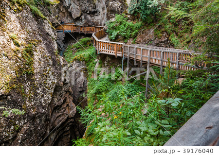 Horizontal shot of path in Gorner Gorge 39176040