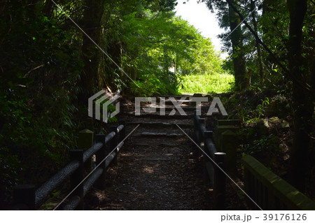 摩耶山の登山道 摩耶山の登山道 39176126