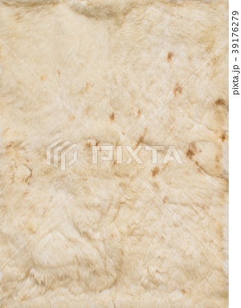 Beige leathers of rabbits, four pieces together Beige leathers of rabbits, four pieces together 39176279