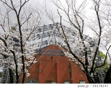 熊本地震の被害:修復工事中の熊本大学工学部研究資料館と桜 熊本地震の被害:修復工事中の熊本大学工学部研究資料館と桜 39178247