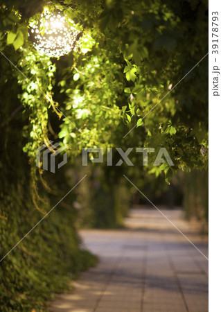 Parc del Centre del Poblenou Parc del Centre del Poblenou 39178793