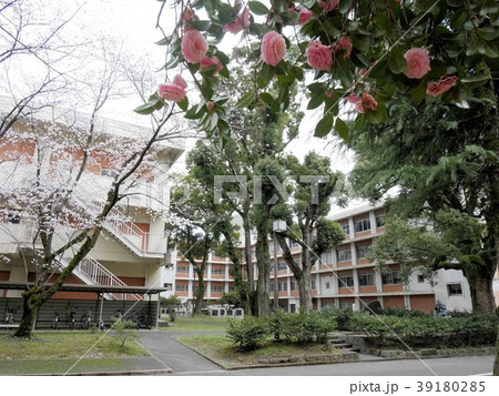 熊本大学黒髪キャンパス 全学教育棟の写真素材