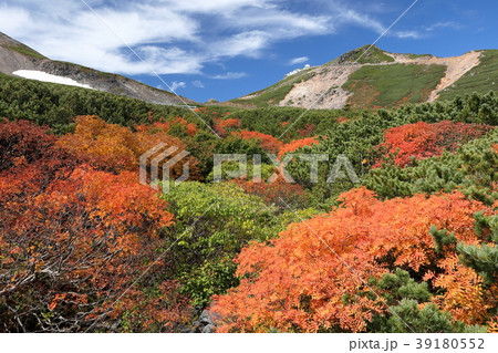 紅葉の青空と乗鞍富士見岳 39180552