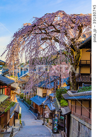京都　春の産寧坂（三年坂） 39180745