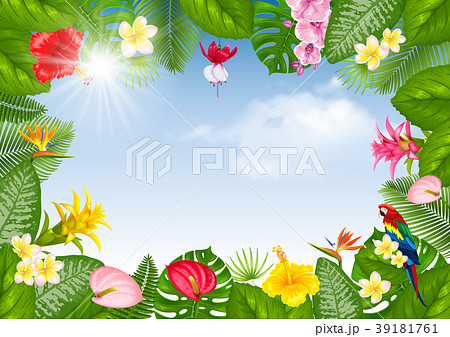 Summer tropical frame design Summer tropical frame design 39181761