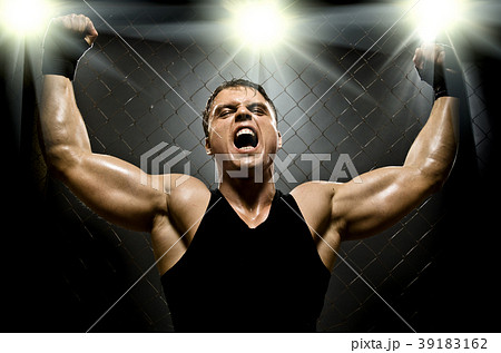 fighter fighter 39183162