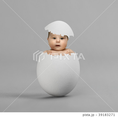 egg egg 39183271