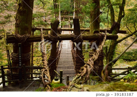 祖谷の蔓橋 39183387