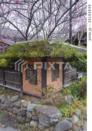 和風住宅（出水麓武家屋敷群／鹿児島県出水市麓町） 39183649