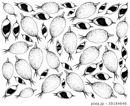 Hand Drawn Background of Blackberry Jam Fruits 39184646