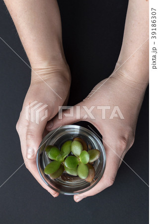 Top view of the female arms holding a glass flask 39186307