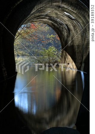 水没した旧道のトンネルの秋 39189352