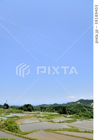 山形県　四ヶ村の棚田 39189403