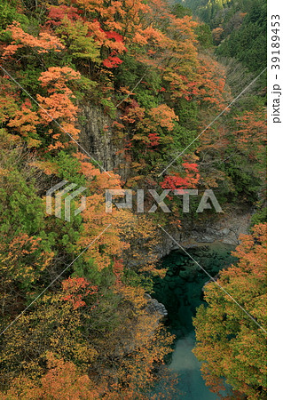 攻橋から望む付知峡の紅葉の写真素材