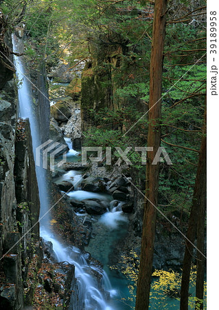 渓谷に流れ落ちる秋の滝 渓谷に流れ落ちる秋の滝 39189958