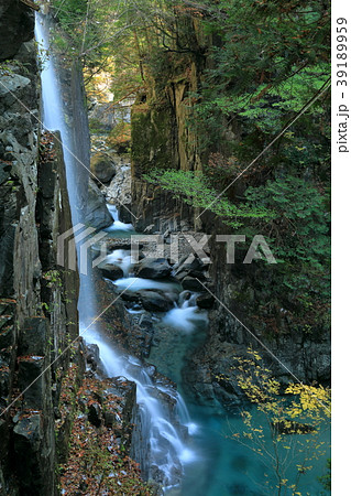 紅葉の観音滝の水流 紅葉の観音滝の水流 39189959